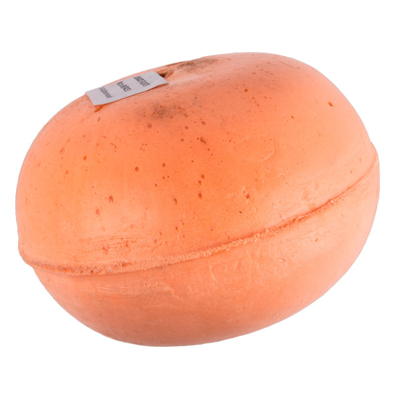 Dorado Float Valve Ball Bsp 8 10 Mm 150 Mm