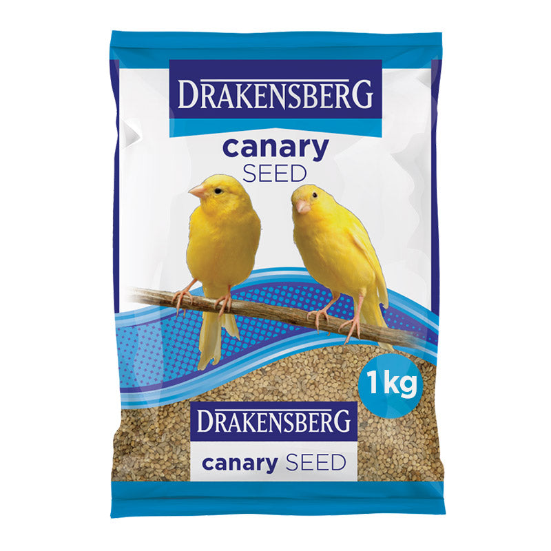 Drakensberg Blue Bag Seed Canary 1 Kg
