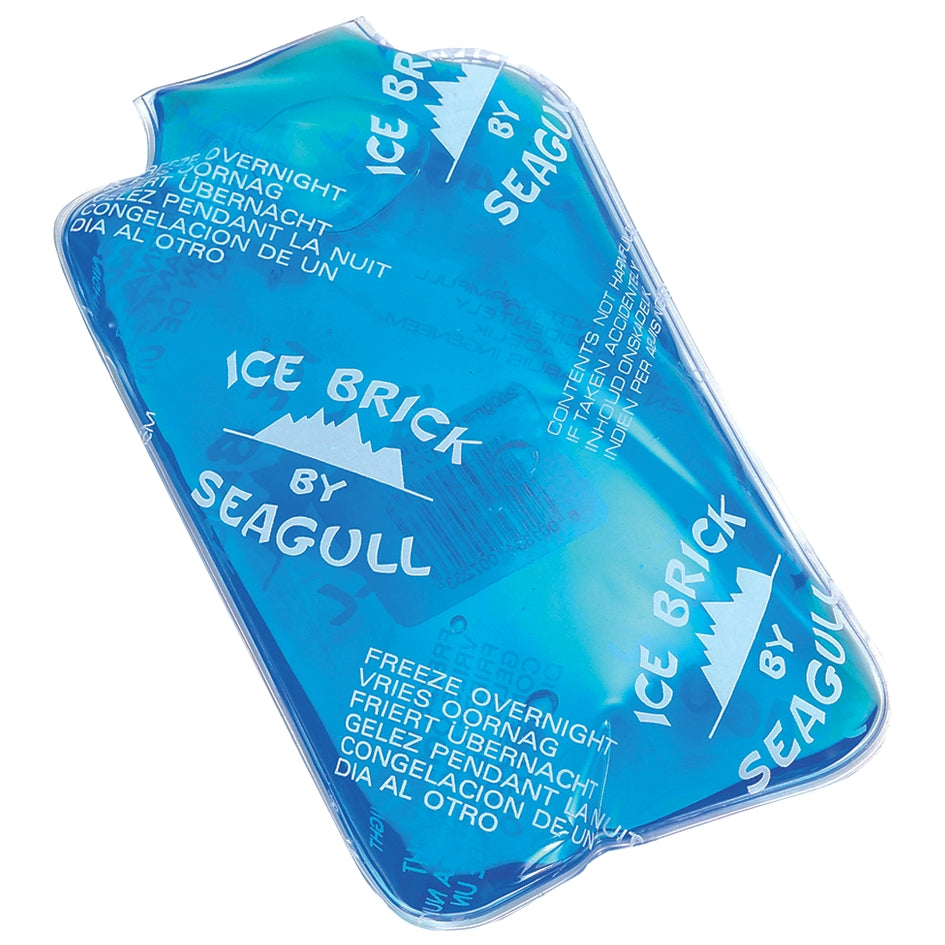 Ice Brick 200g Soft Clear Blue Gel - Livestainable.co.za