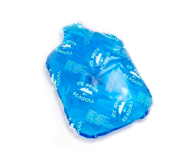 Ice Brick 800g Soft Clear Blue Gel - Livestainable.co.za