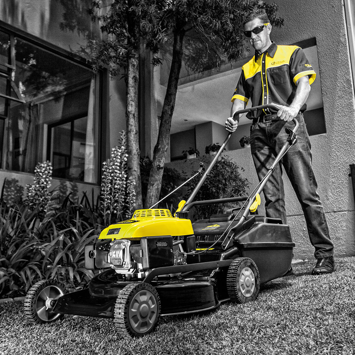 Talon Petrol Lawnmower 6 Hp 173 Cm