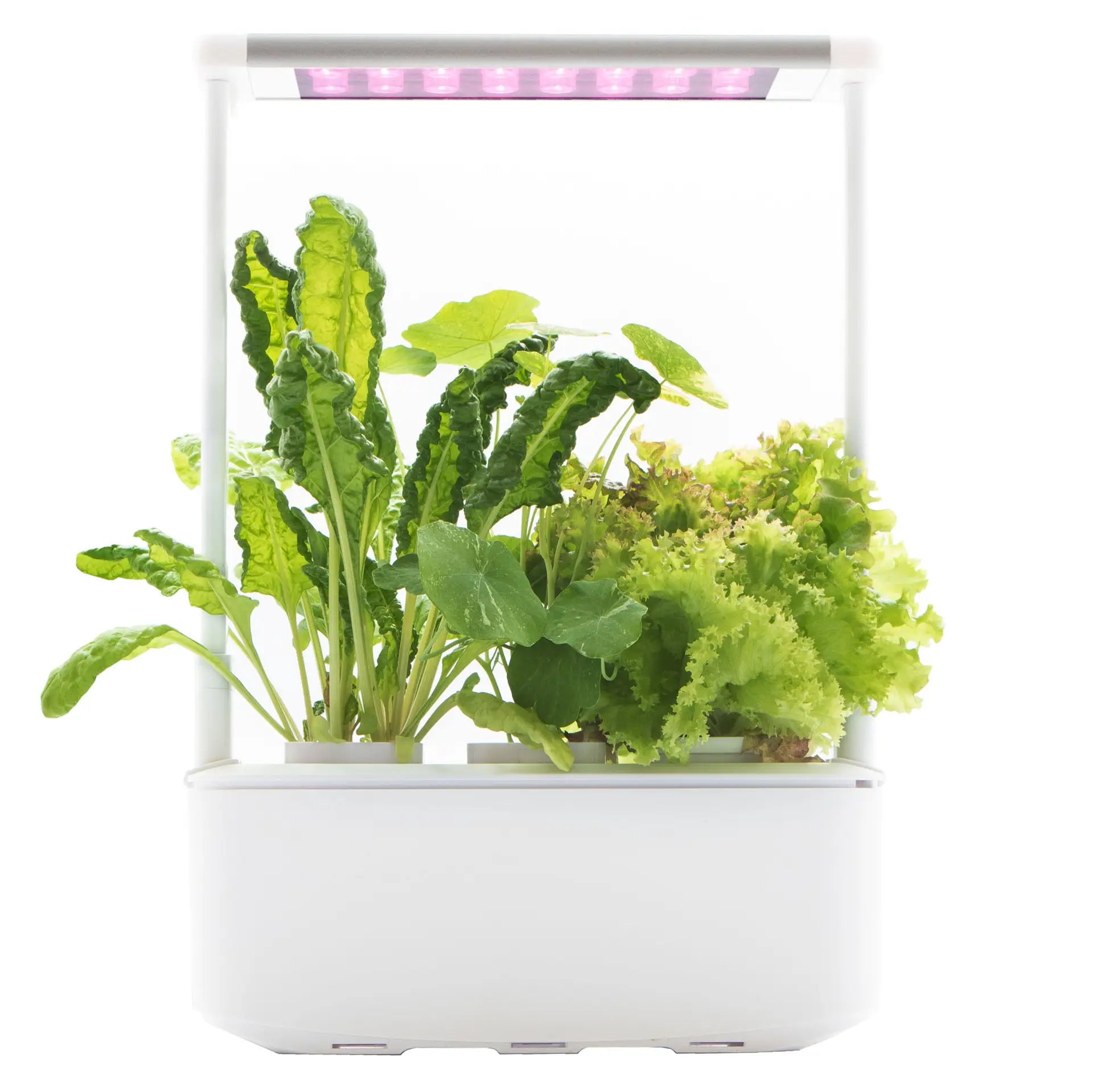Hydroponic Smart Garden 3