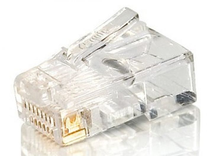 Equip Connector Cat5E RJ45 UTP 100pcs Network Adapter