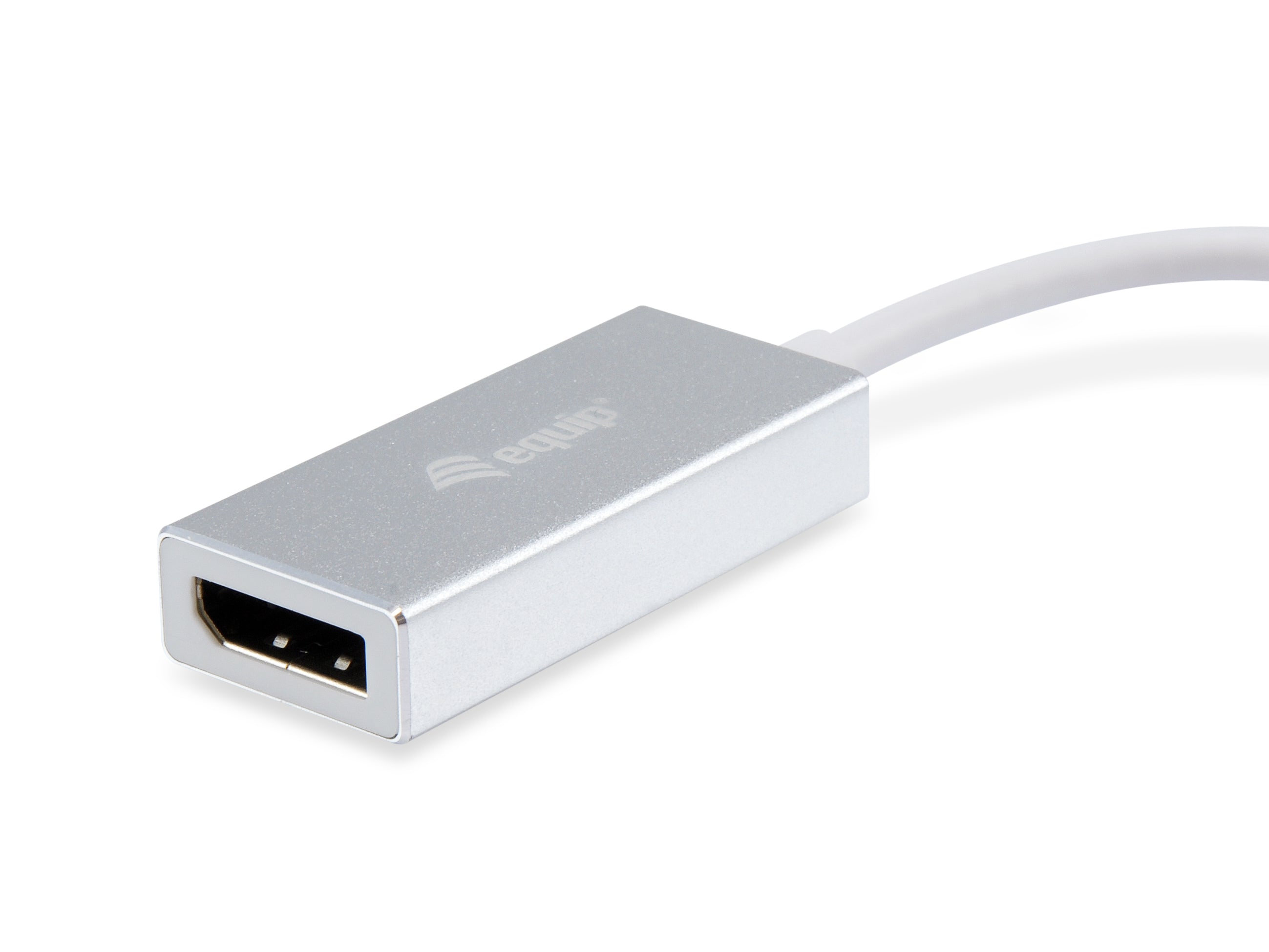 Equip USB-C to DisplayPort Adapter 4K 60Hz 15CM Cable