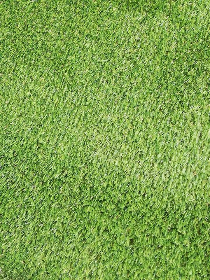 Artificial Grass Roll 25 X 2m