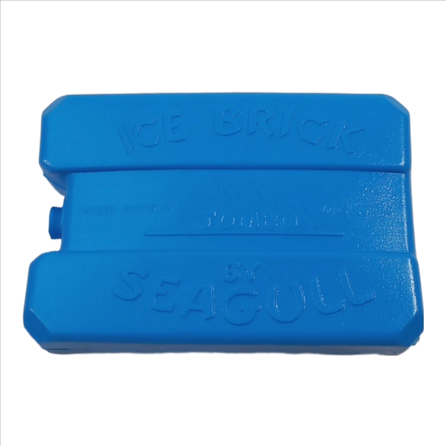 Seagull Solid Jumbo