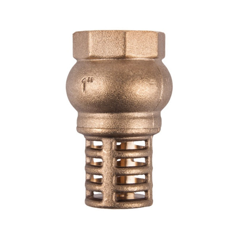Torrenti Valve Foot Brass 50 Mm
