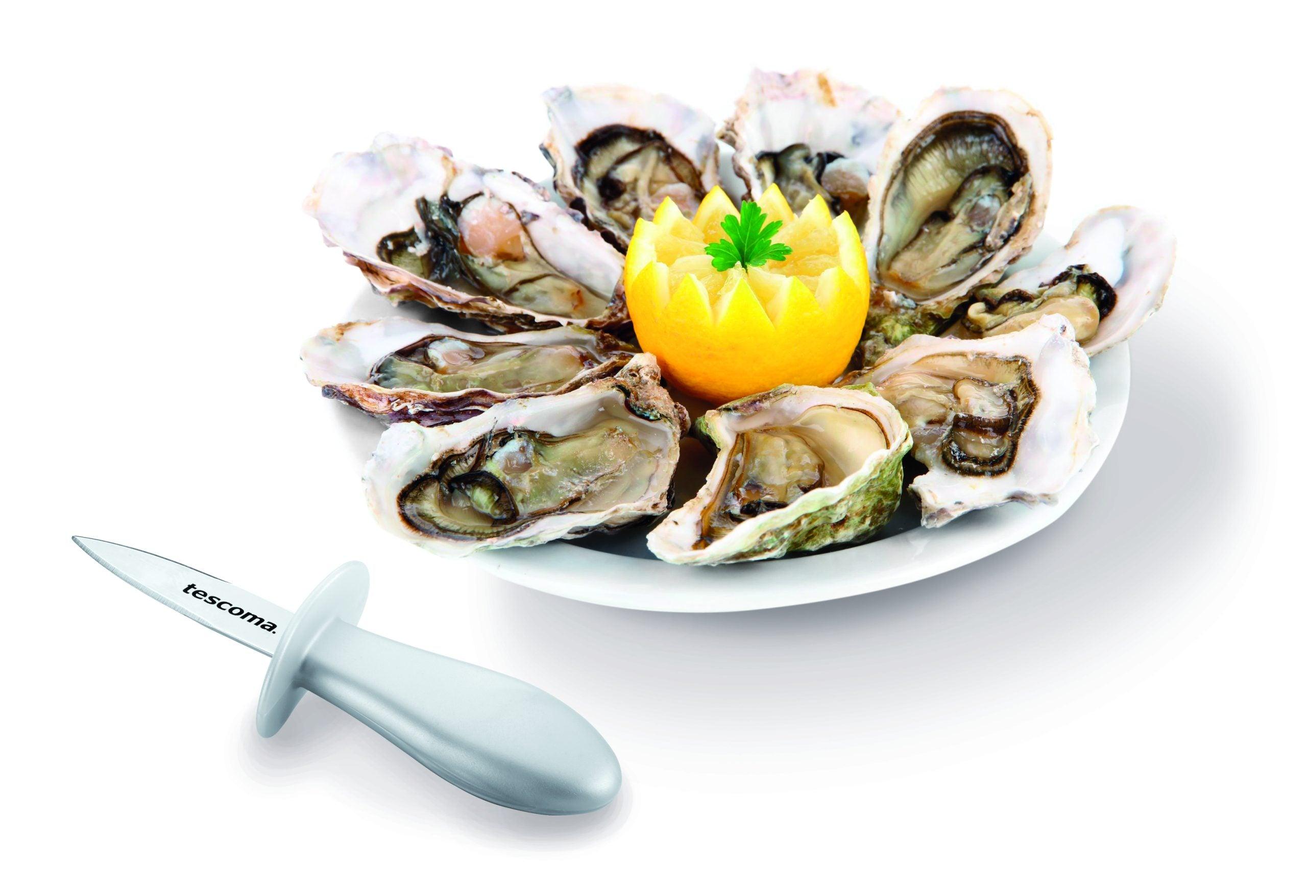 Tescoma Oyster Knife Presto Se - Livestainable.co.za