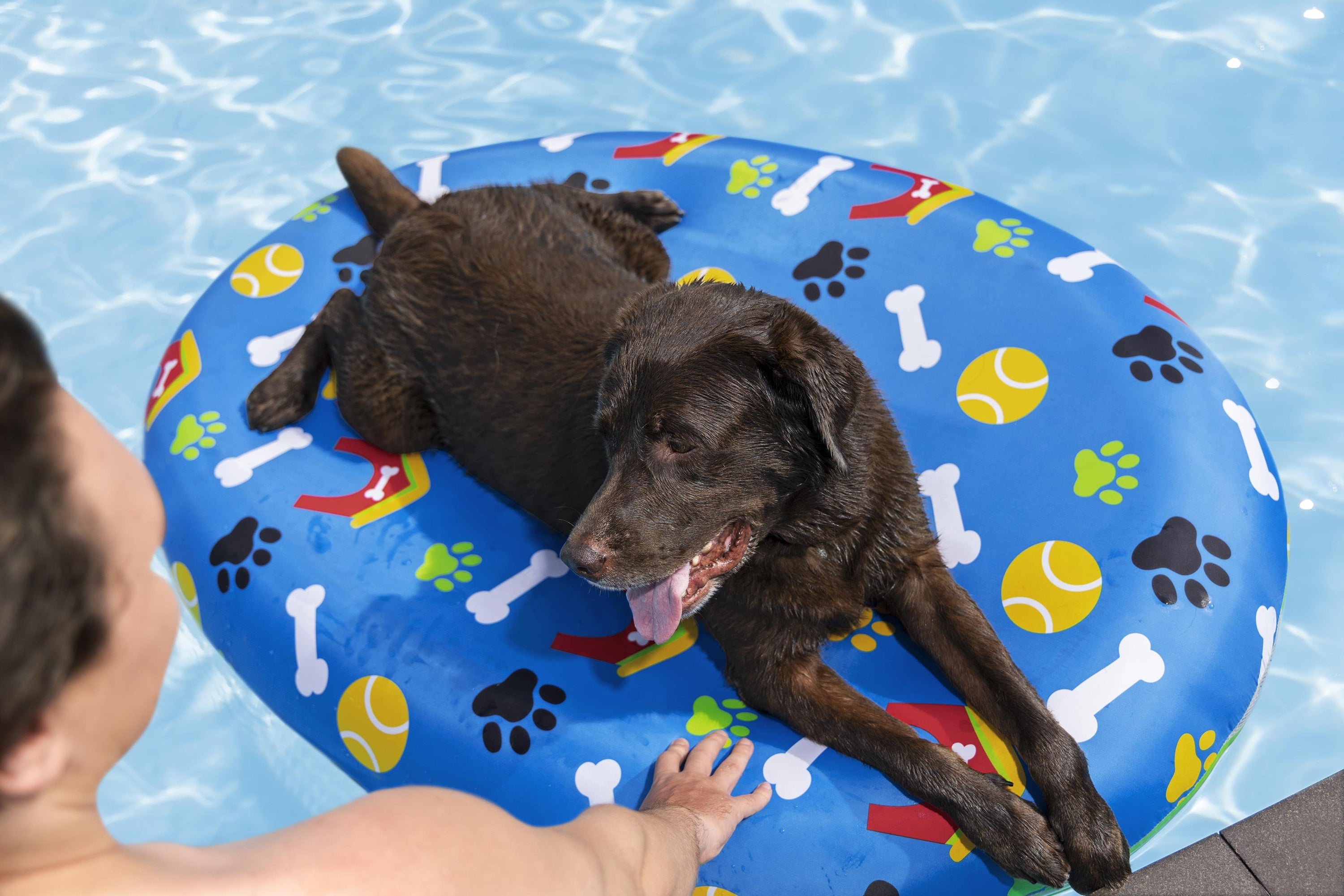 Bestway 1.56m X 1.12m Fetchin' Fun Pet Pool Float