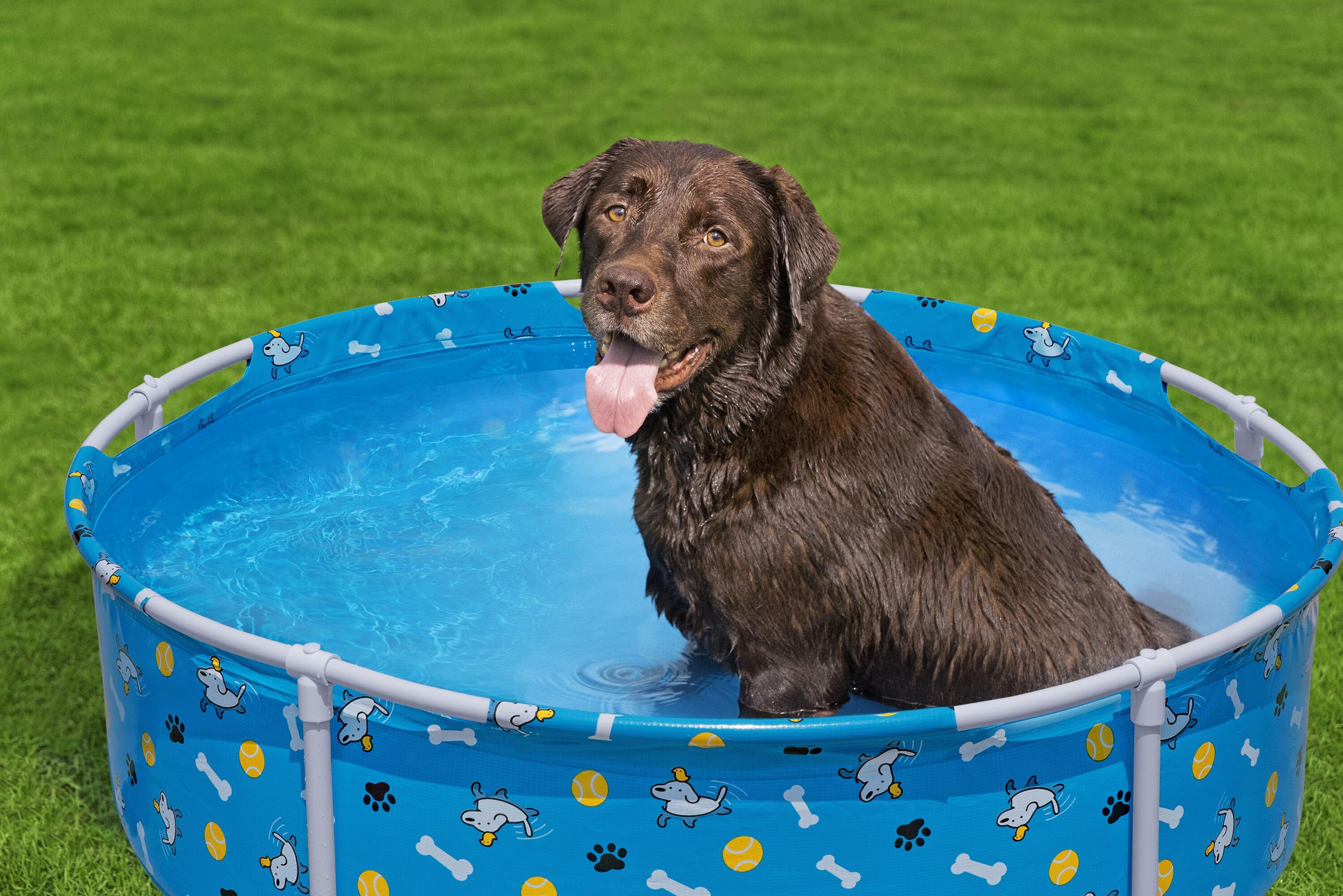 Bestway 122 X 30cm Fetchin' Fun Pet Play Pool 292 L