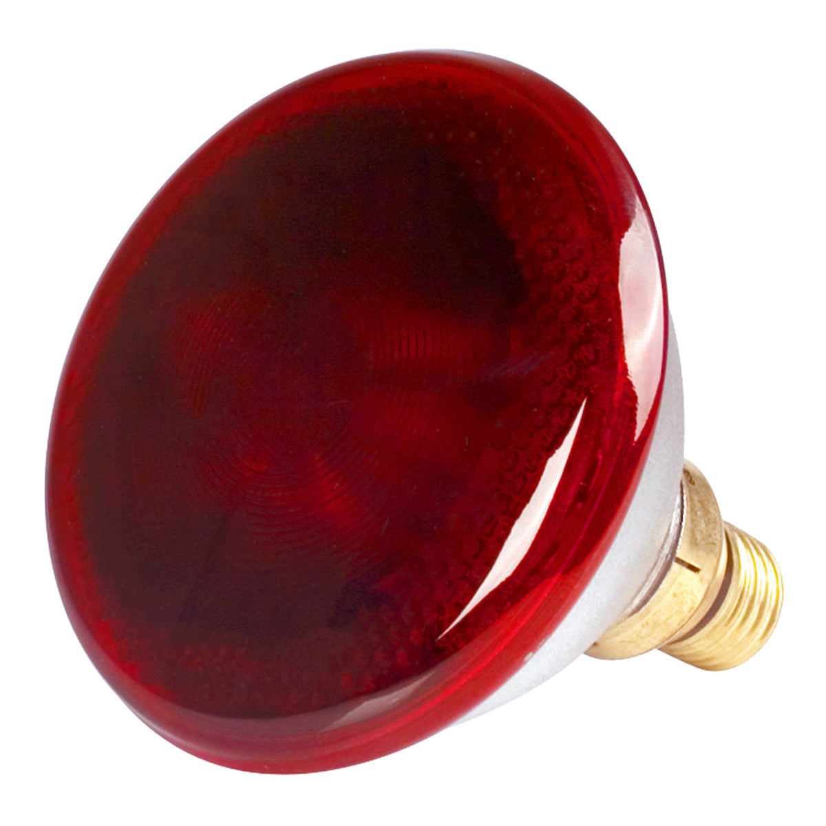 Philips Lamp / Globe Infrared 175 W Par38 100 Birds