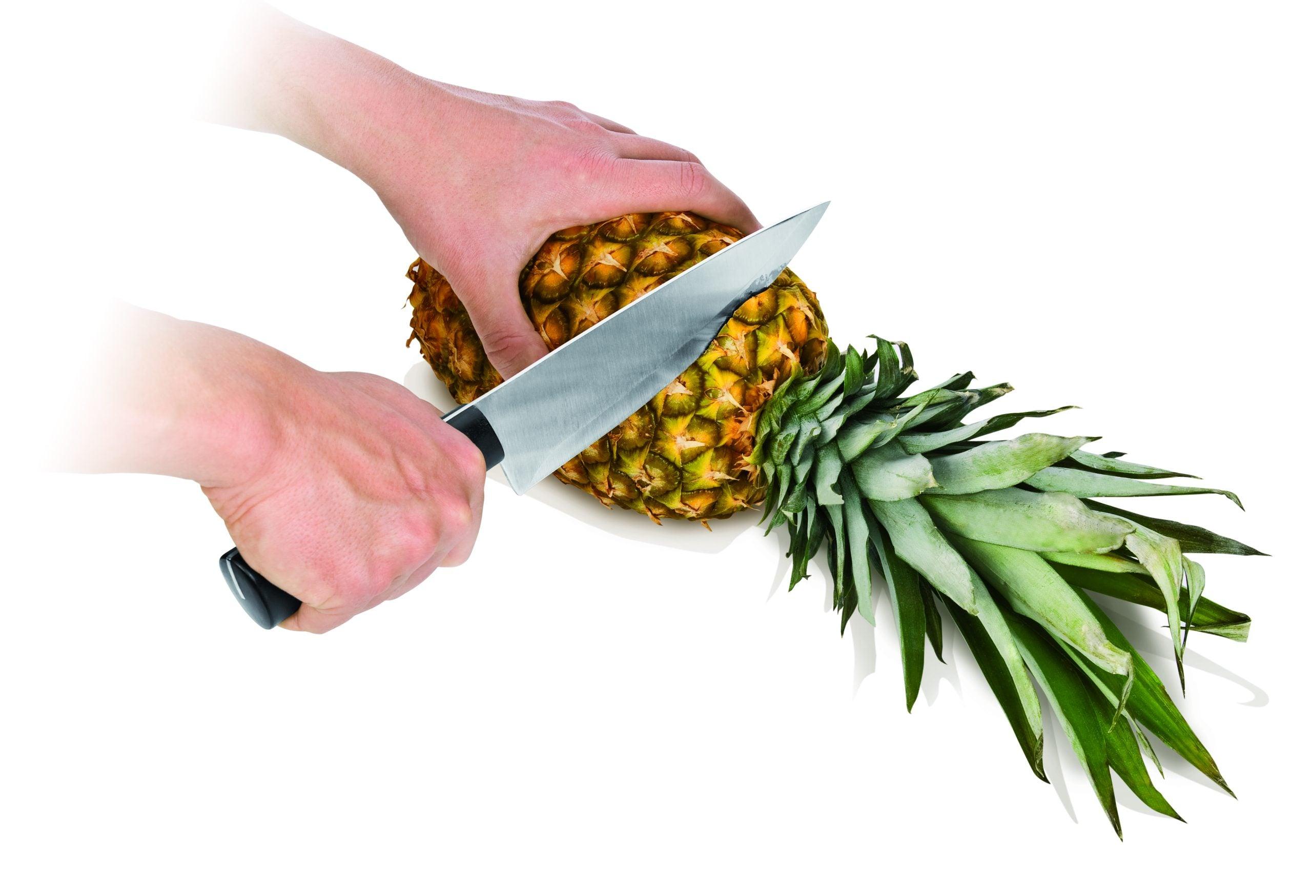 Tescoma Pinapple Slicer Han - Livestainable.co.za