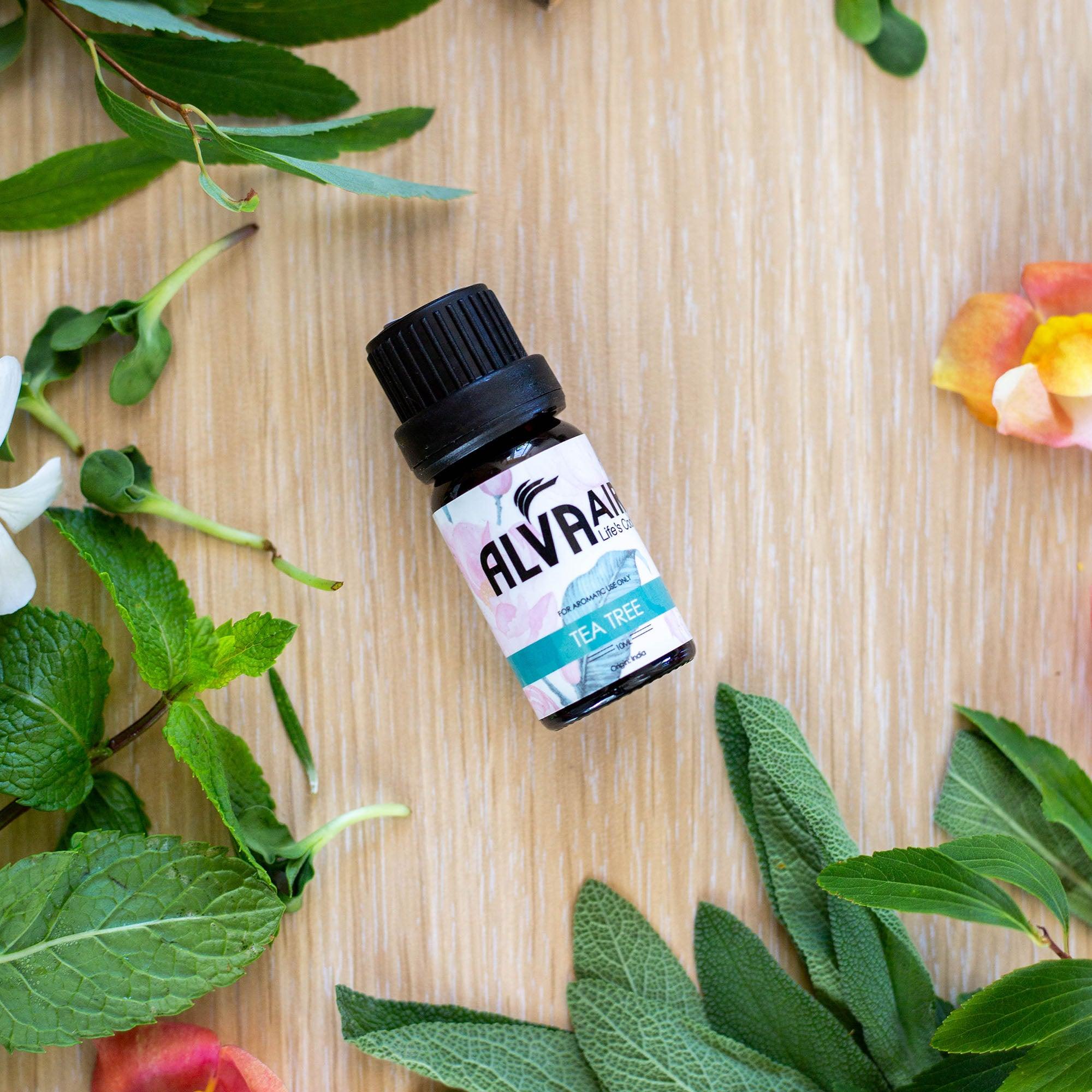 9PC ESSENTIAL OILS SET - FOR AROMATHERAPY DIFFUSER - Alva Lifestyle Retail