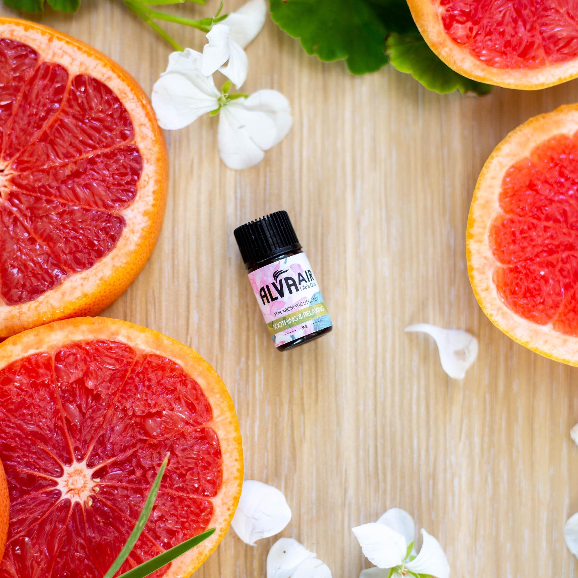 9PC ESSENTIAL OILS SET - FOR AROMATHERAPY DIFFUSER - Alva Lifestyle Retail