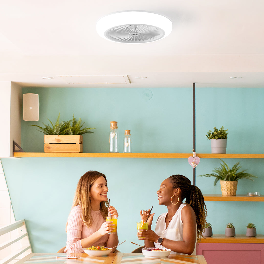 50cm Led Light / Ceiling Fan W Remote (White)