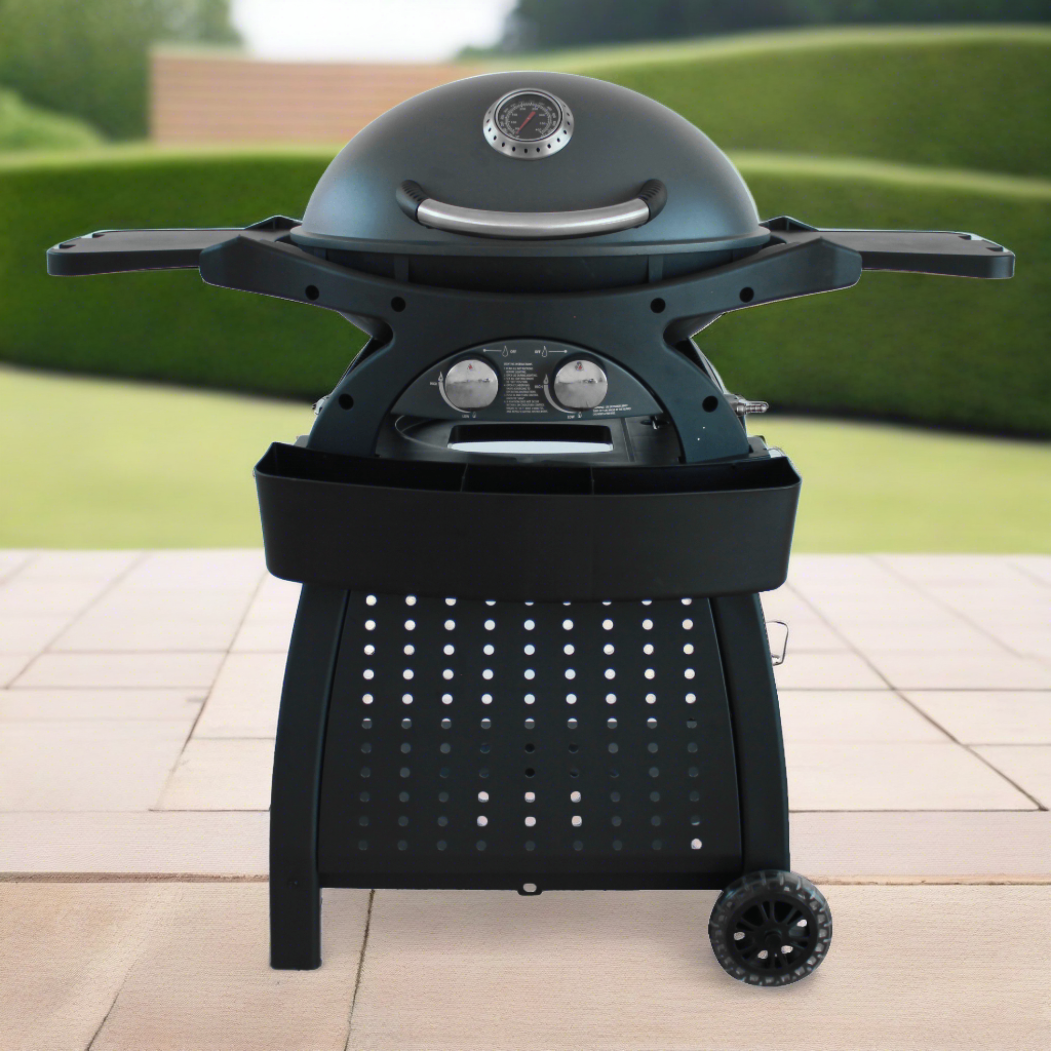 Mondo 2 Burner Gas Bbq & Cart