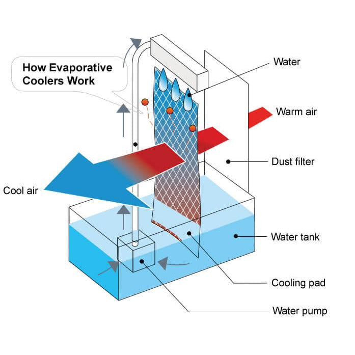 TWIN FAN EVAPORATIVE AIR COOLER WITH REMOTE CONTROL - Alva Lifestyle Retail