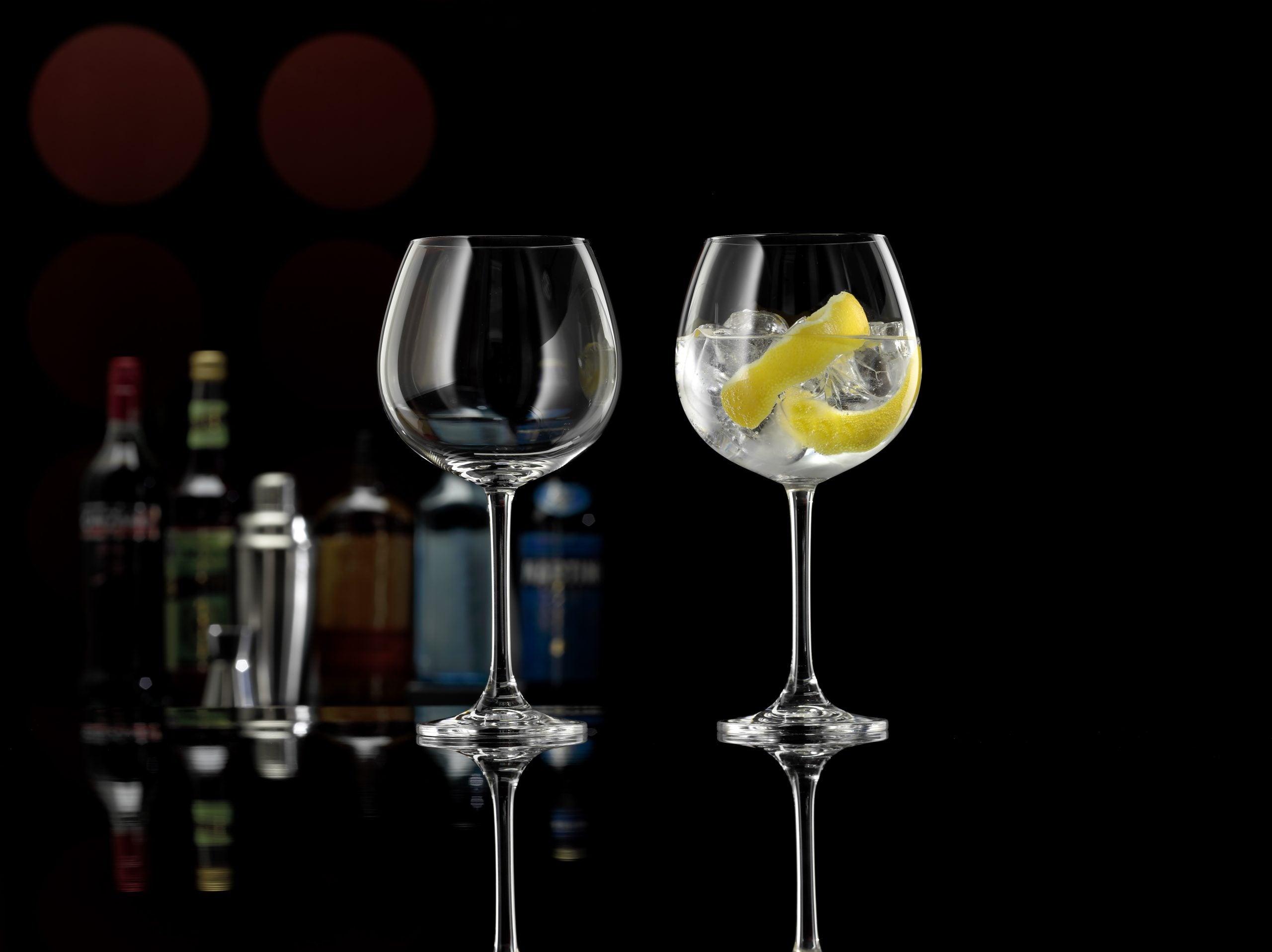 Bargin680 Ml 2 Gin Glasses 680 M - Livestainable.co.za