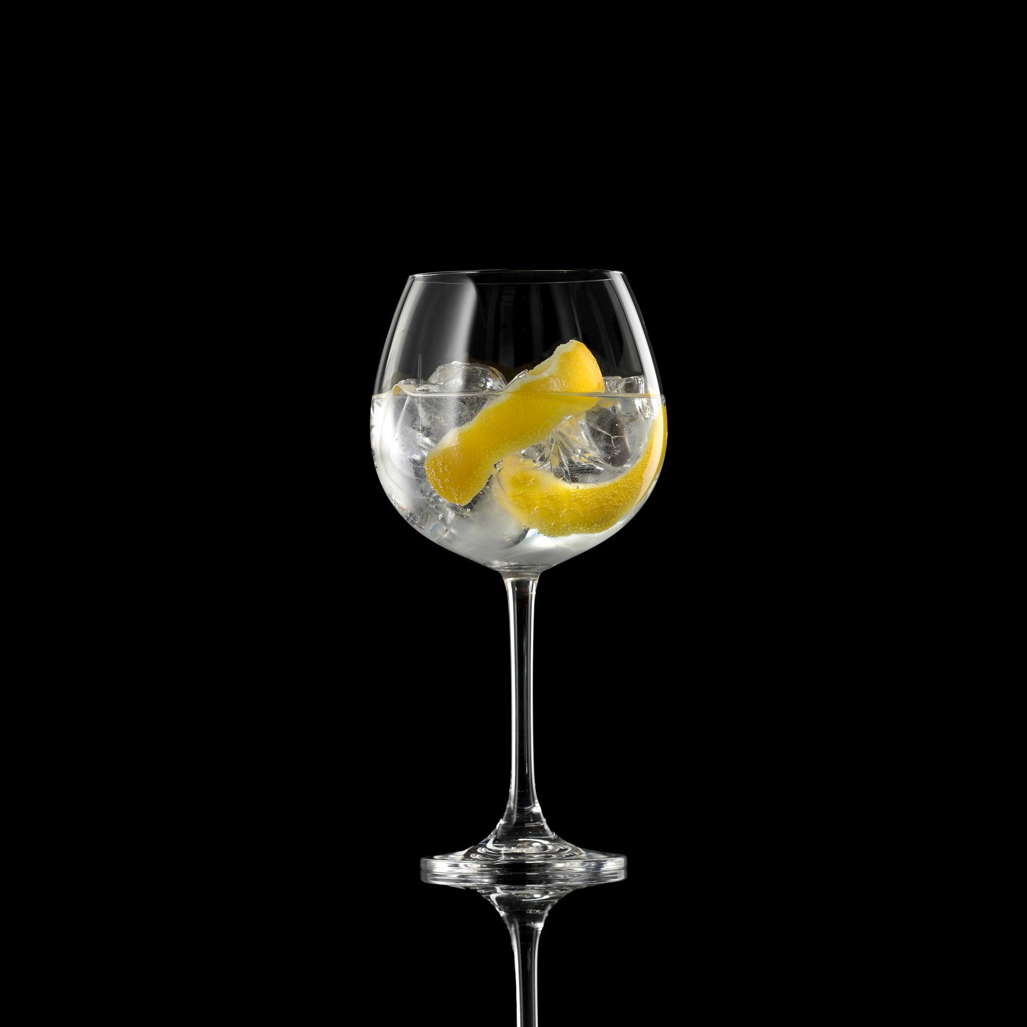 Bargin680 Ml 2 Gin Glasses 680 M - Livestainable.co.za