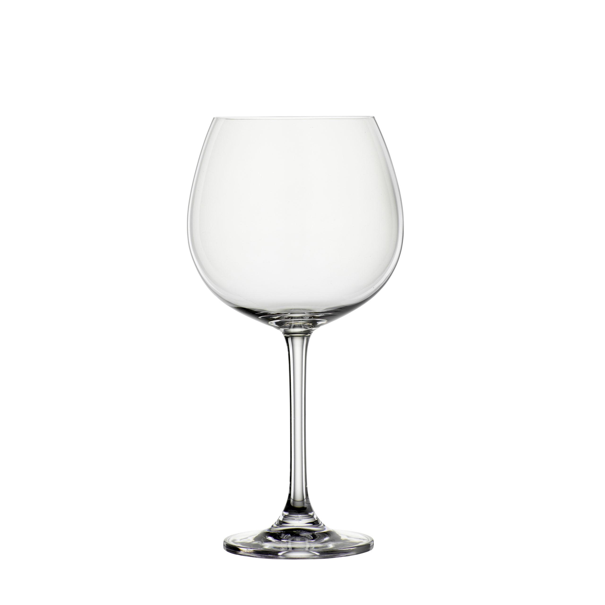 Bargin680 Ml 2 Gin Glasses 680 M - Livestainable.co.za