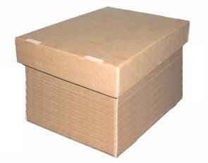 Box Squ 2 P A4 Int=300x215x220mm Die Cut Box202488 - Livestainable.co.za