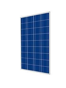 Cinco Solar 100W 36 Cell Poly Panel Off-Grid - Livestainable.co.za