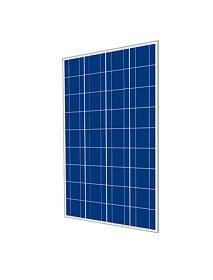 Cinco Solar 100W 72 Cell Poly Panel Off-Grid - Livestainable.co.za