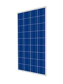 Cinco Solar 160W 36 Cell Poly Panel Off-Grid (Pallet of 28) - Livestainable.co.za