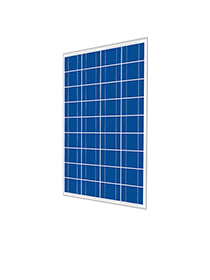 Cinco Solar 50W 36 Cell Poly Panel Off-Grid (Pallet of 38) - Livestainable.co.za