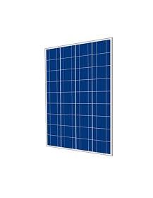 Cinco Solar 80W 36 Cell Poly Panel Off-Grid (Pallet of 34) - Livestainable.co.za