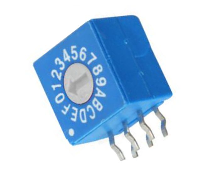 Rotary Dip Switch R/A 16 W R/Code Flat Slotted Erd116 Rrz