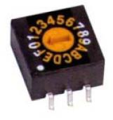 Rotary Dip Switch 10 W C/Code Flt Erd110 Cm Comp Rd