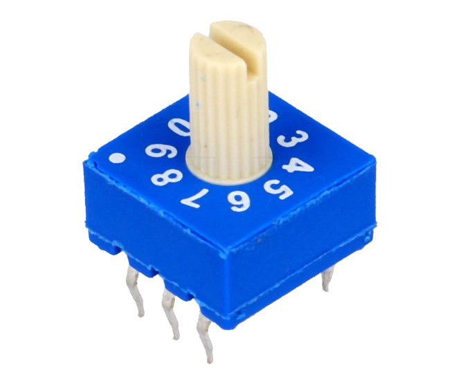 Rotary Dip Switch 10 W R/Code Shaft Erd210 Rrz Bcd Real Wt