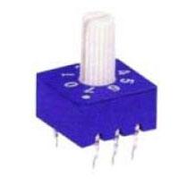 Rotary Dip Switch 16 W R/Code White Shaft Erd216 Rs Hex Real - Livestainable.co.za