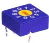 Rotary Dip Switch 10 W R/Code Flat Erd410 Rs Bcd Real Yl