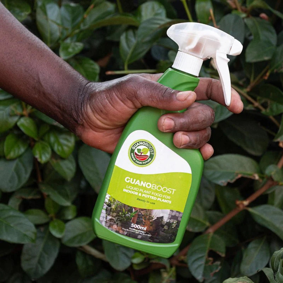 Guanoboost 500 Ml Ready To Use