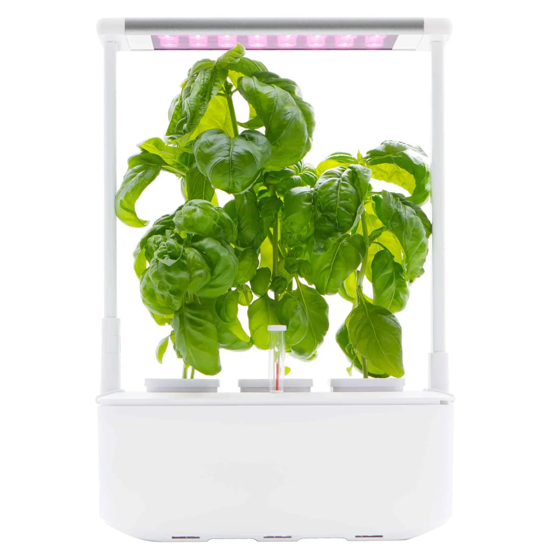 Hydroponic Smart Garden 3