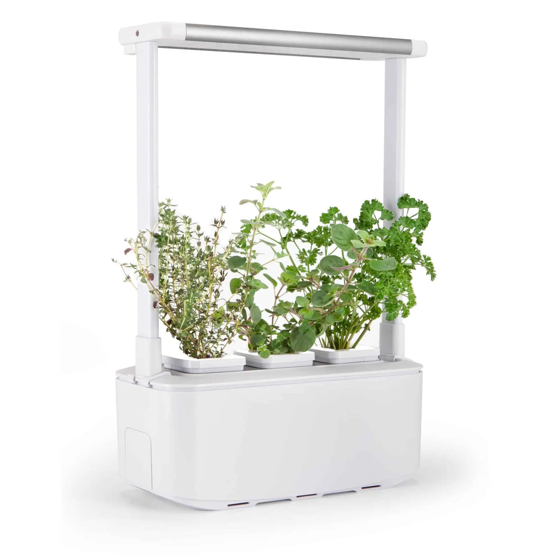 Hydroponic Smart Garden 3