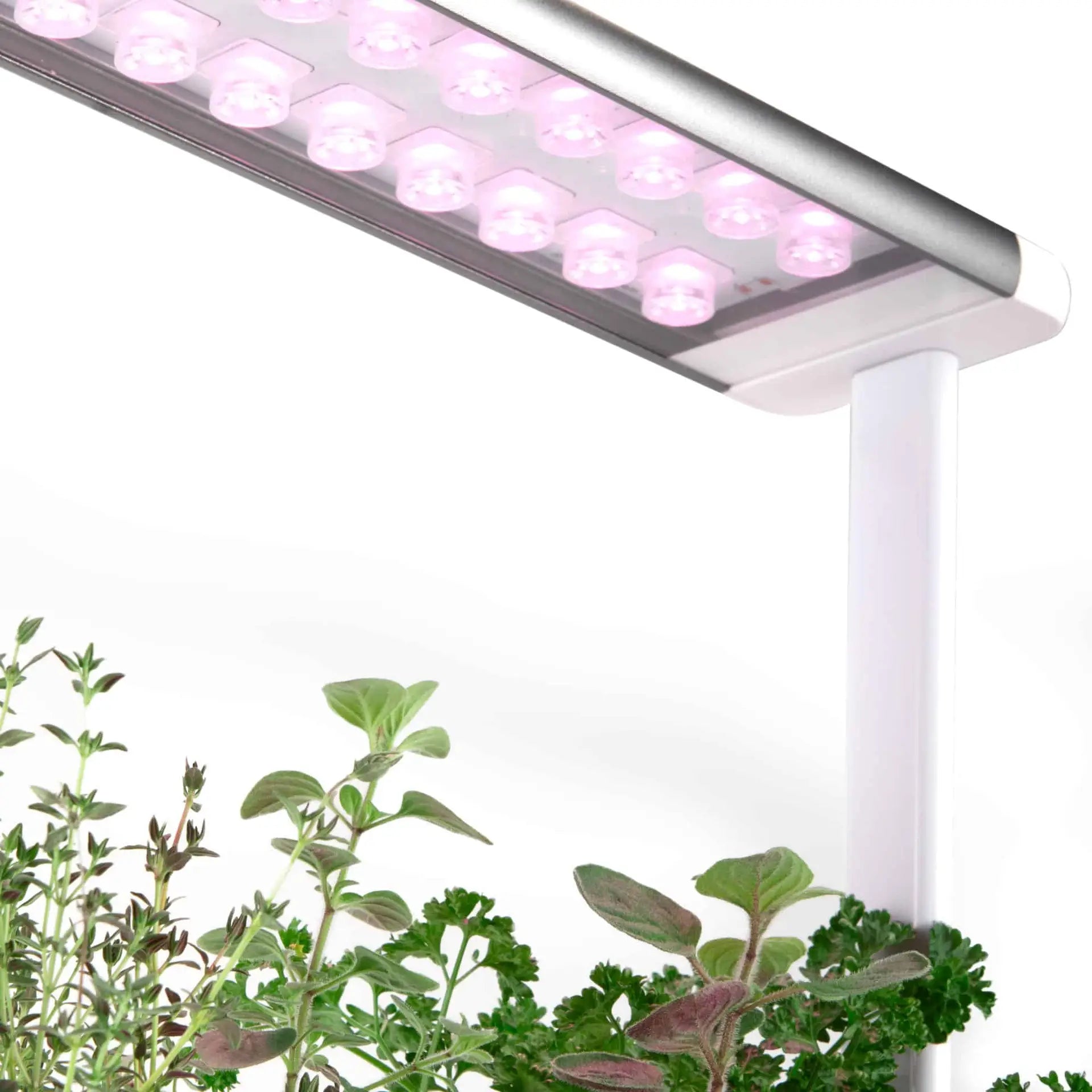 Hydroponic Smart Garden 3