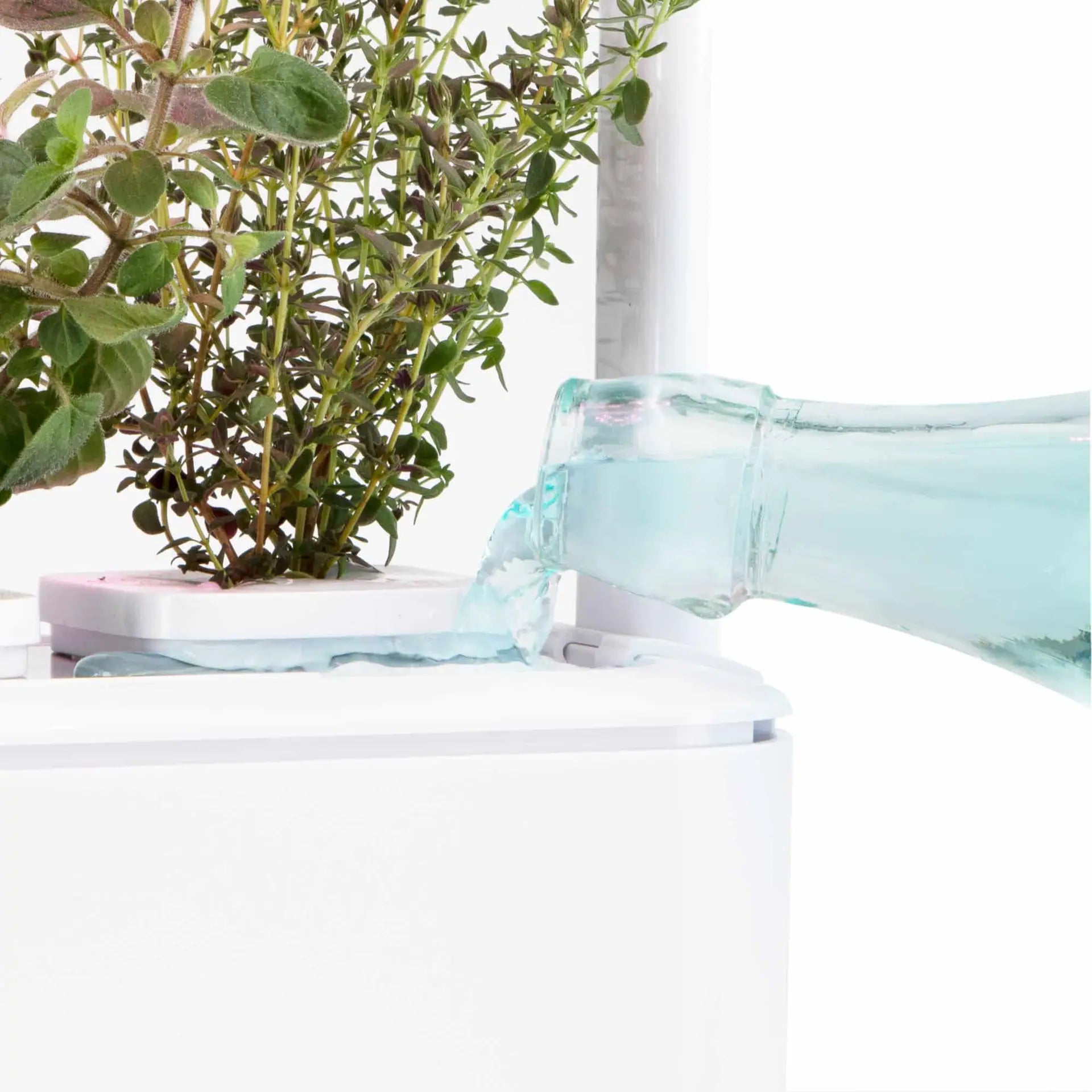 Hydroponic Smart Garden 3