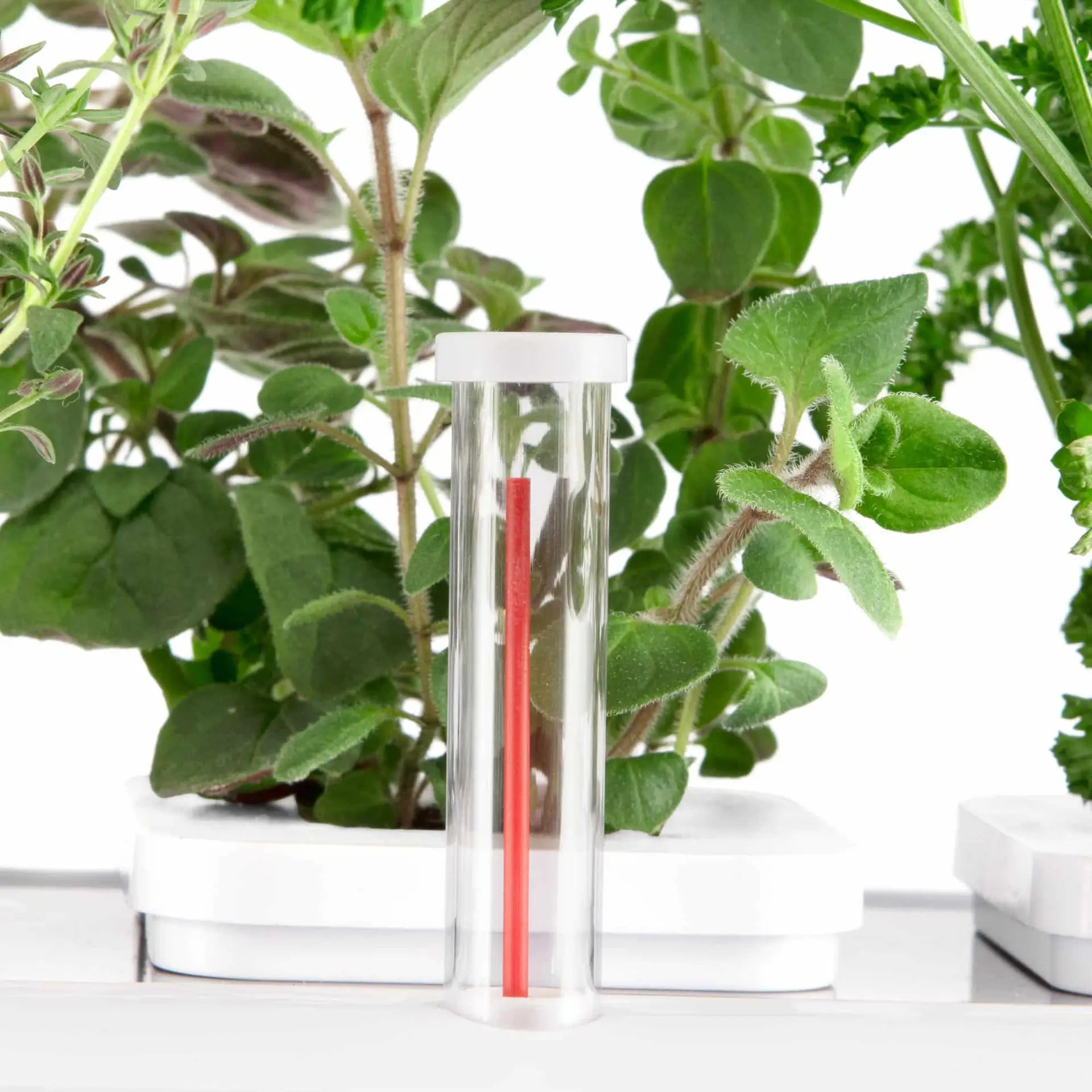 Hydroponic Smart Garden 3