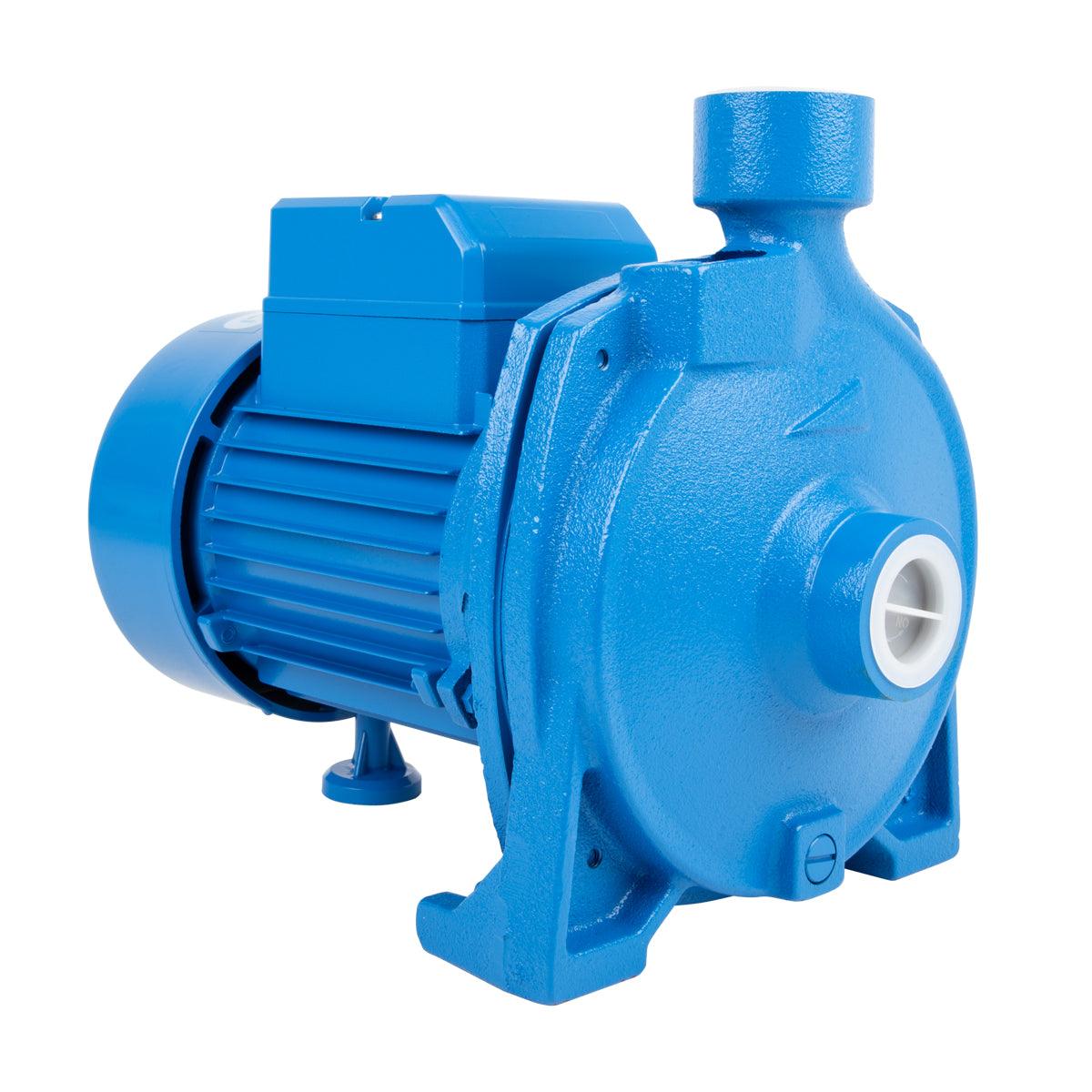 Pascali Pump Centrifugal 0.55 Kw 230 V - Livestainable.co.za