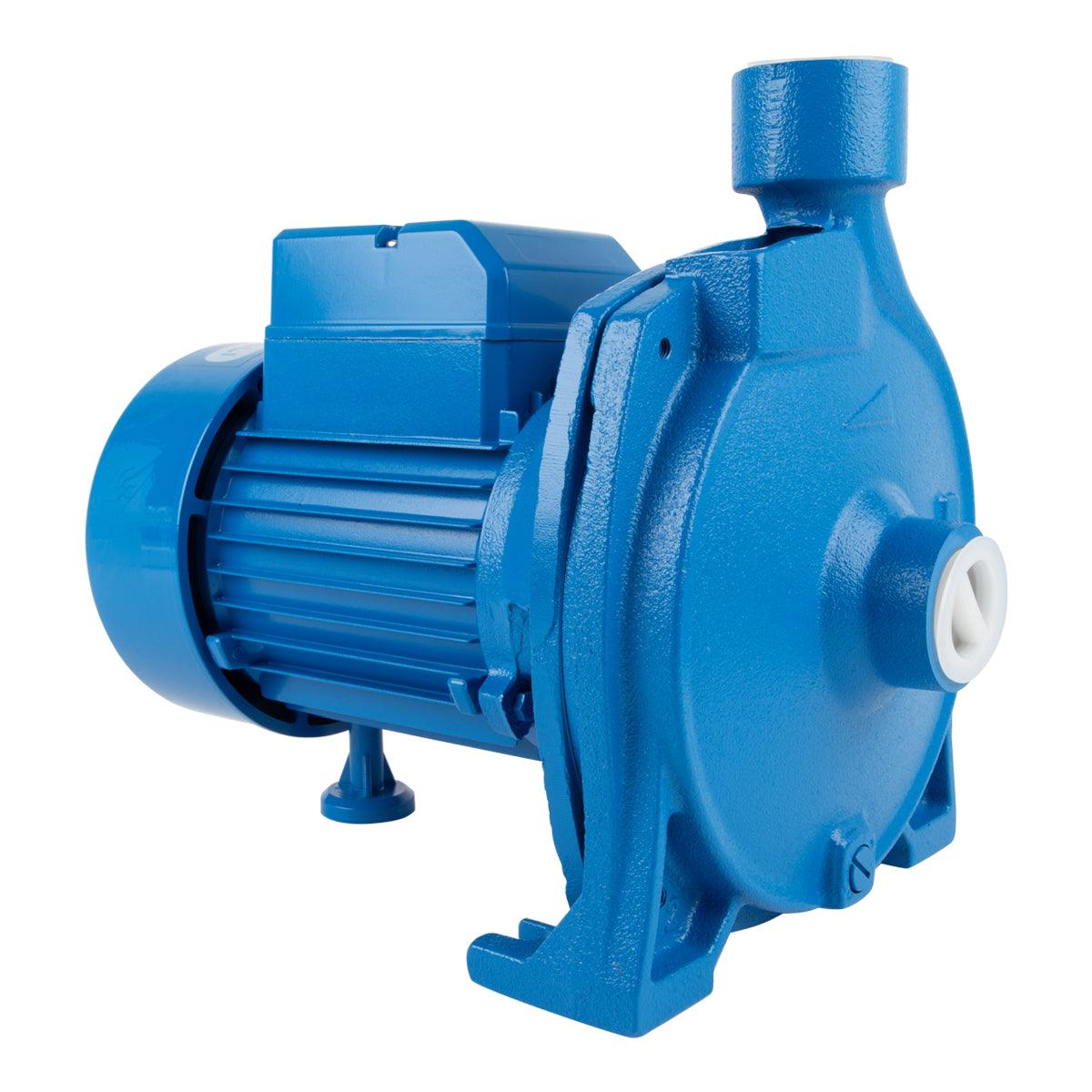 Pascali Pump Centrifugal 0.75 Kw 230 V - Livestainable.co.za