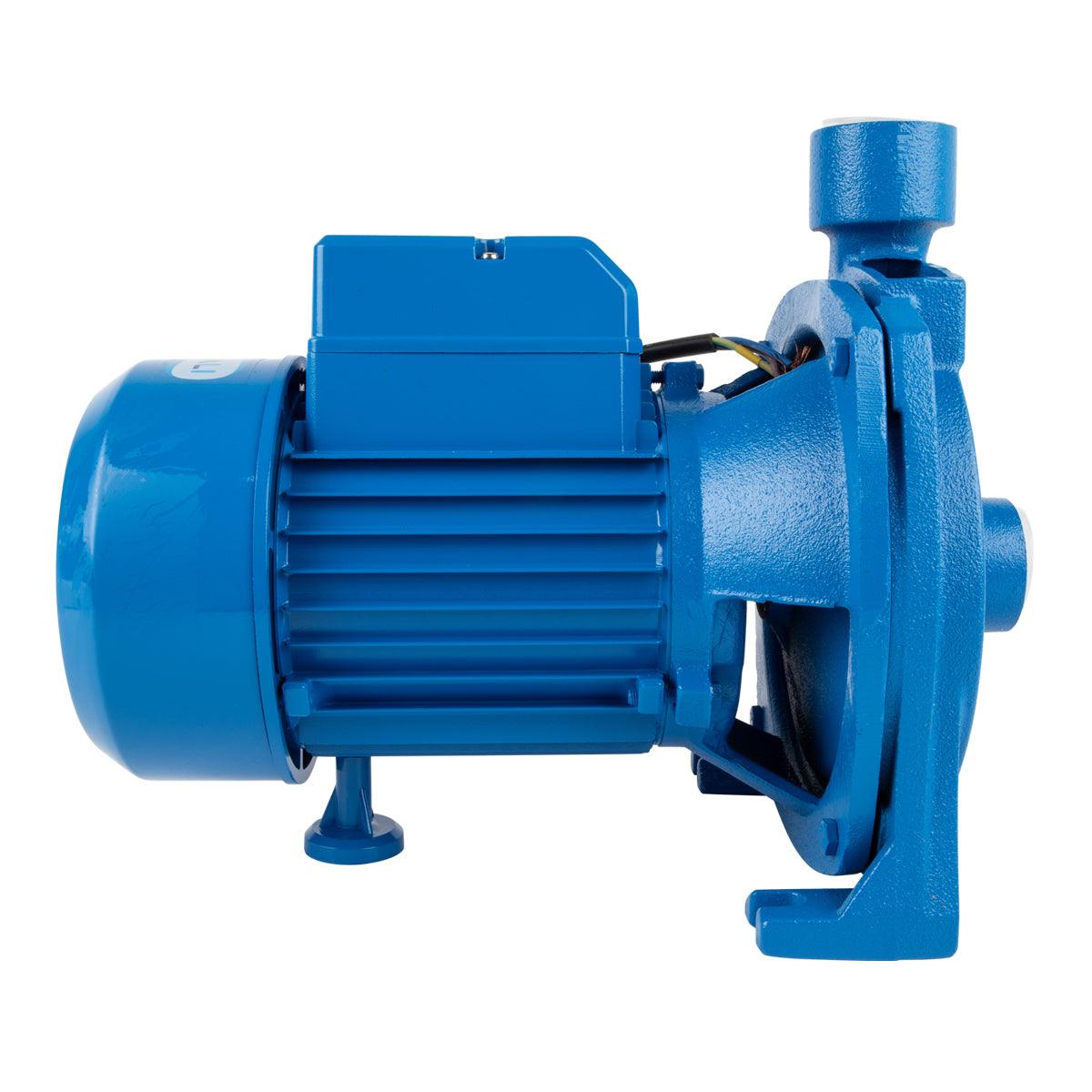 Pascali Pump Centrifugal 0.75 Kw 230 V - Livestainable.co.za