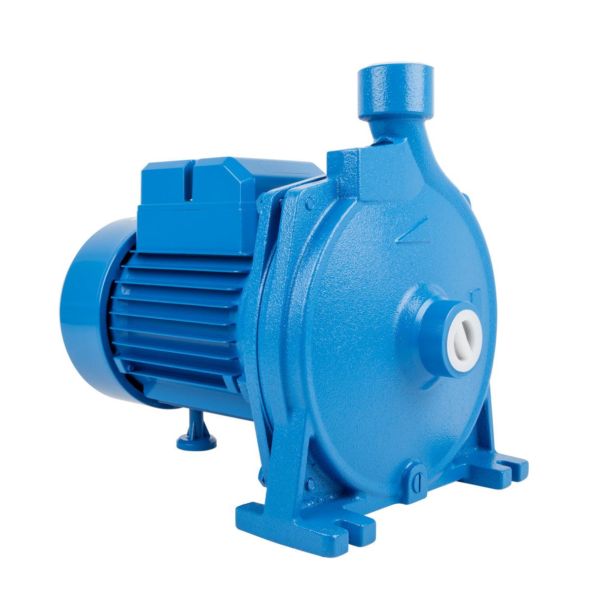 Pascali Pump Centrifugal 1.5 Kw 230 V - Livestainable.co.za