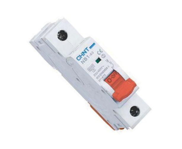 Mini D/R Circuit Breaker 1 P 100 A 6 Ka D Curve Dz158 125 1 P D100 A - Livestainable.co.za