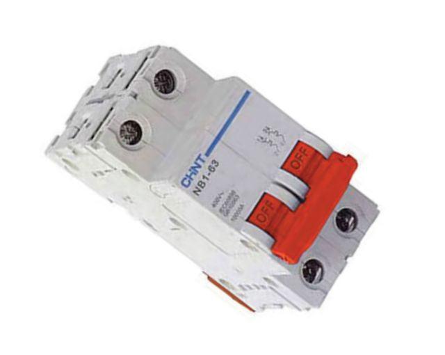 Mini Din Rail Mount Circuit Breaker 25 A 2 P 6 Ka D Curve Nb1 63 D 225 - Livestainable.co.za