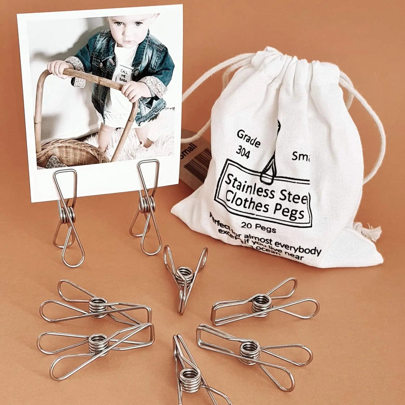 Stainless Steel Pegs - Grade 316 -Pack of 80