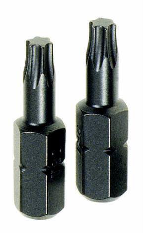 Torx Tx25 Insert Bits 2 Pce - Livestainable.co.za