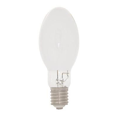 Metal Halide Elliptical E27 100w 10000h - Livestainable.co.za